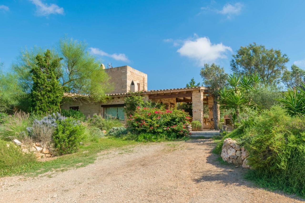 Es Moli Des Trenc Campos (Mallorca)