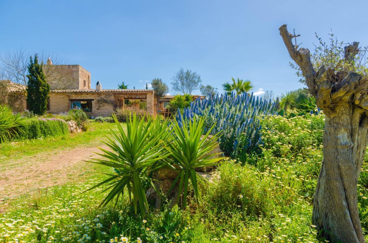 Es Moli Des Trenc Campos (Mallorca)