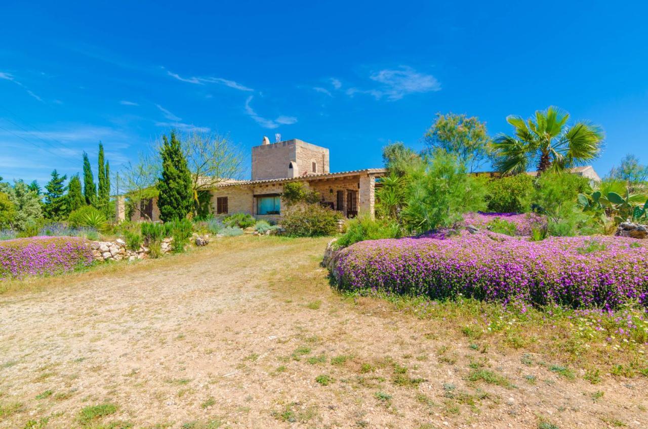 Es Moli Des Trenc Villa Campos (Mallorca)