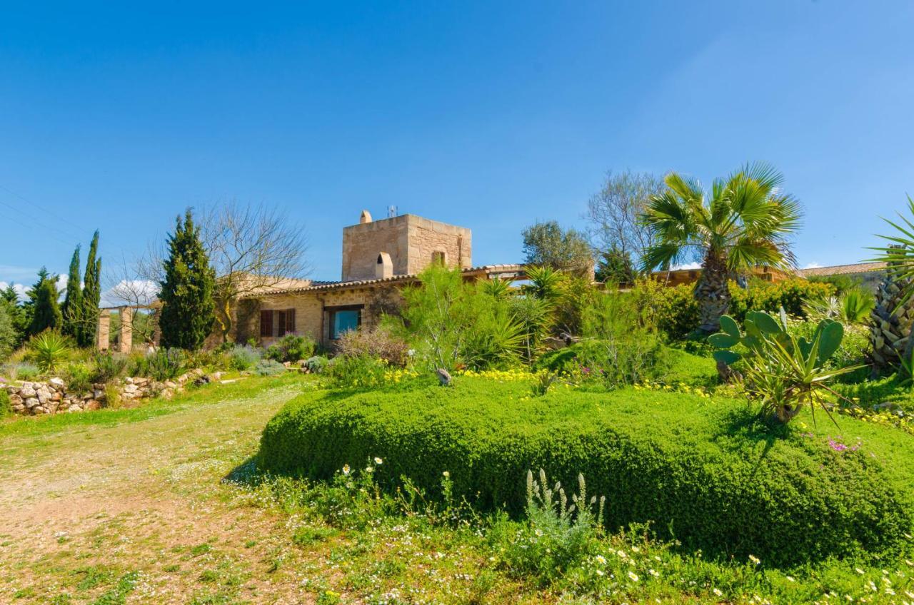 Es Moli Des Trenc * Campos (Mallorca)